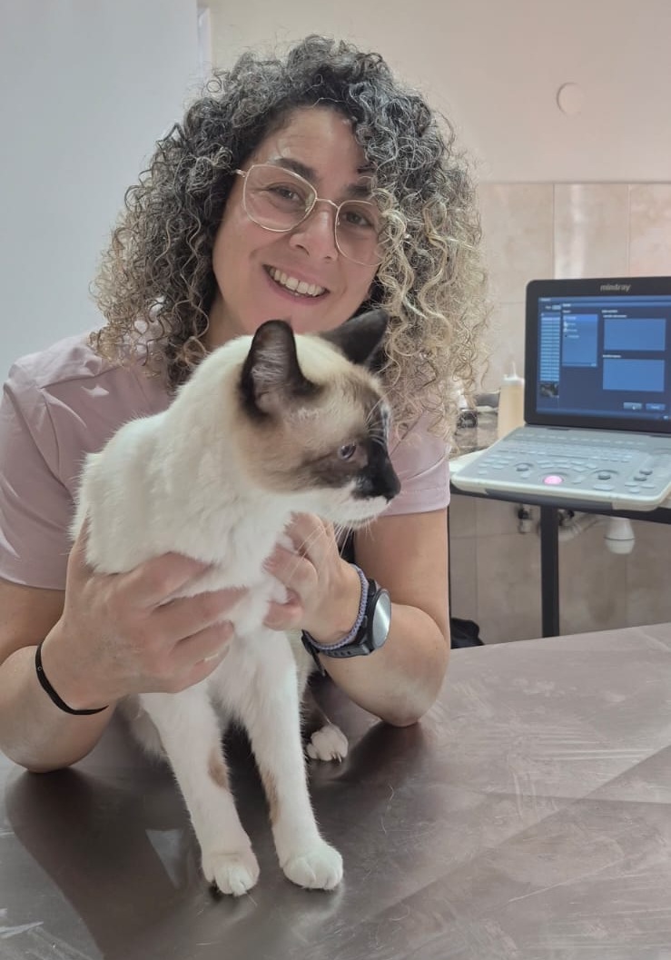 Veterinaria con paciente felino