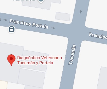 Ver ubicación en Google Maps